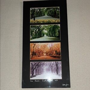 Seasonal Central Park Art Print Set
